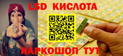 прущие грибы Мариинск