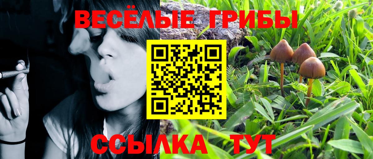 Галлюциногенные грибы Magic Shrooms Губкинский